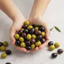 Zeytin Çeşitliliği ve Operasyon Rehberliği